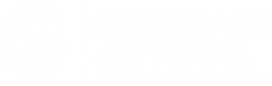 Steenkamp and Spies Attorneys Logo